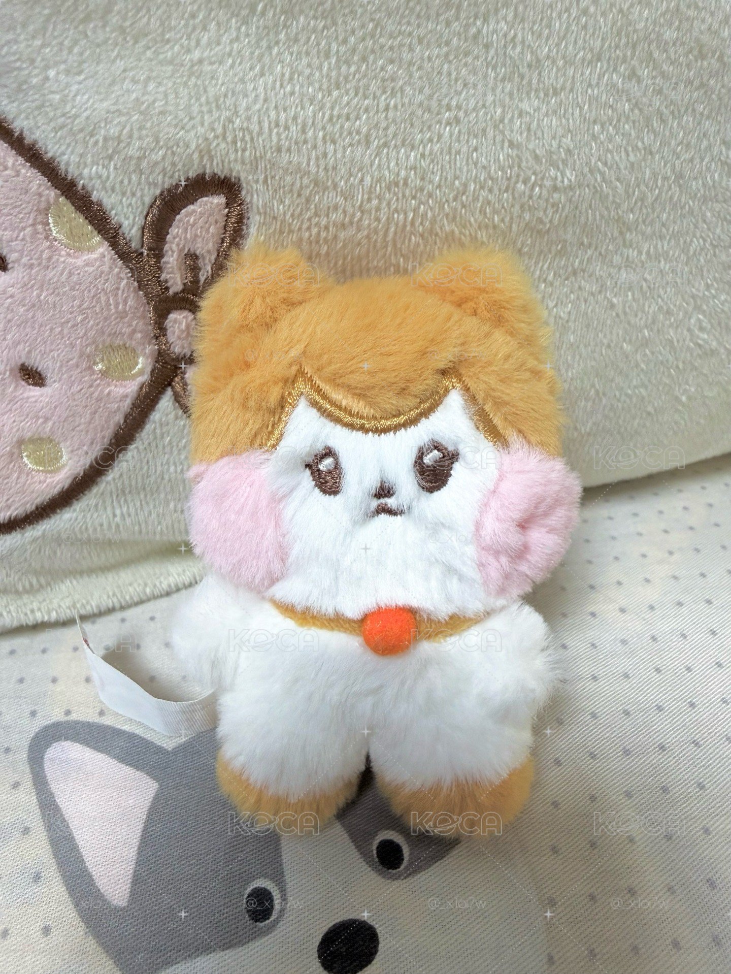 LINE FRIENDS快閃 栗吊娃 cheezni 