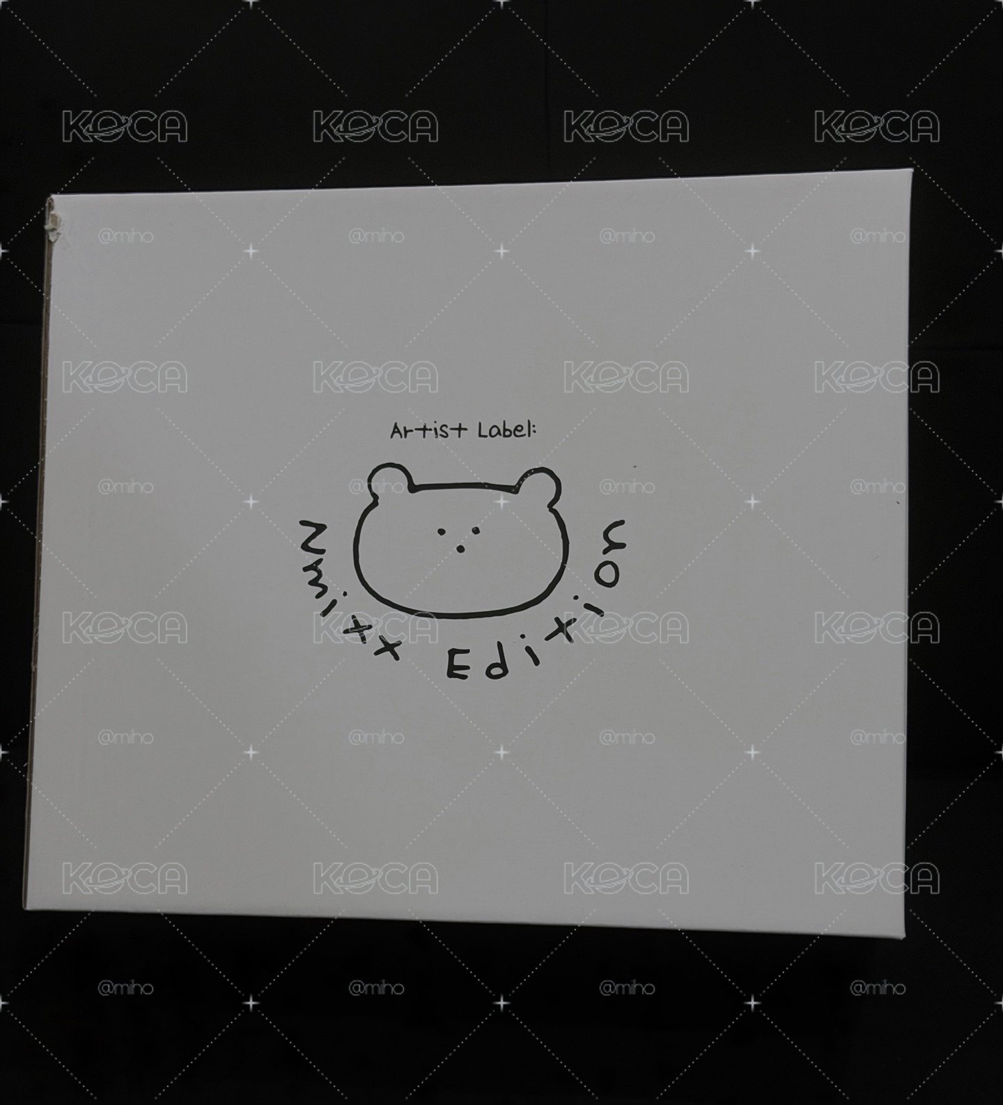 🐋NMIXX 海媛手提行李箱 含卡