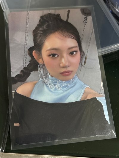 KMS預售特典 中文卡背 KMS茶