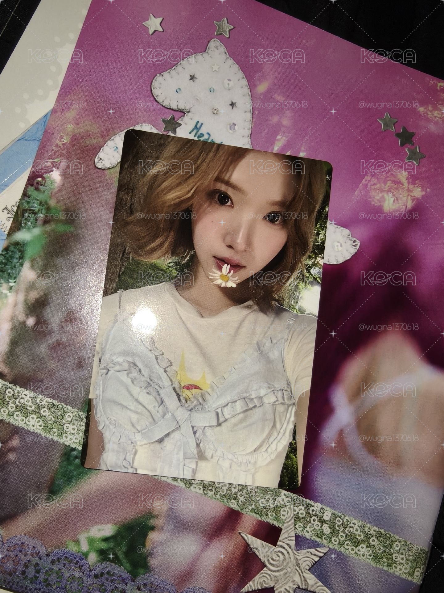 Jiwoo(有損)