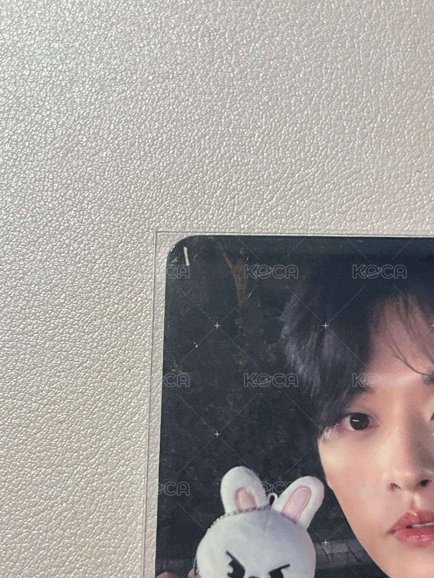 🐰有兩處廠損