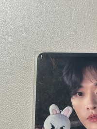 🐰有兩處廠損