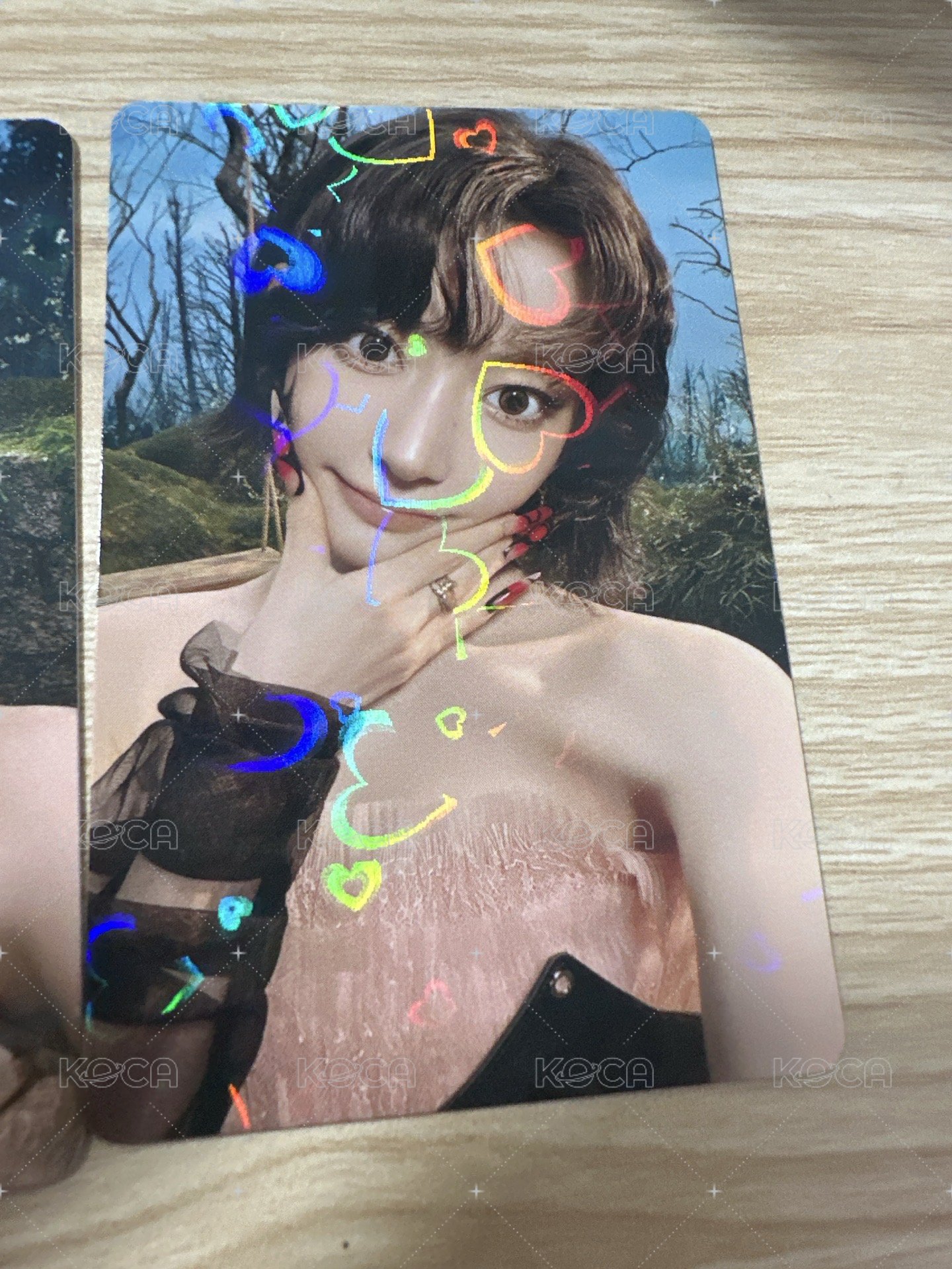 環球預售櫻花
