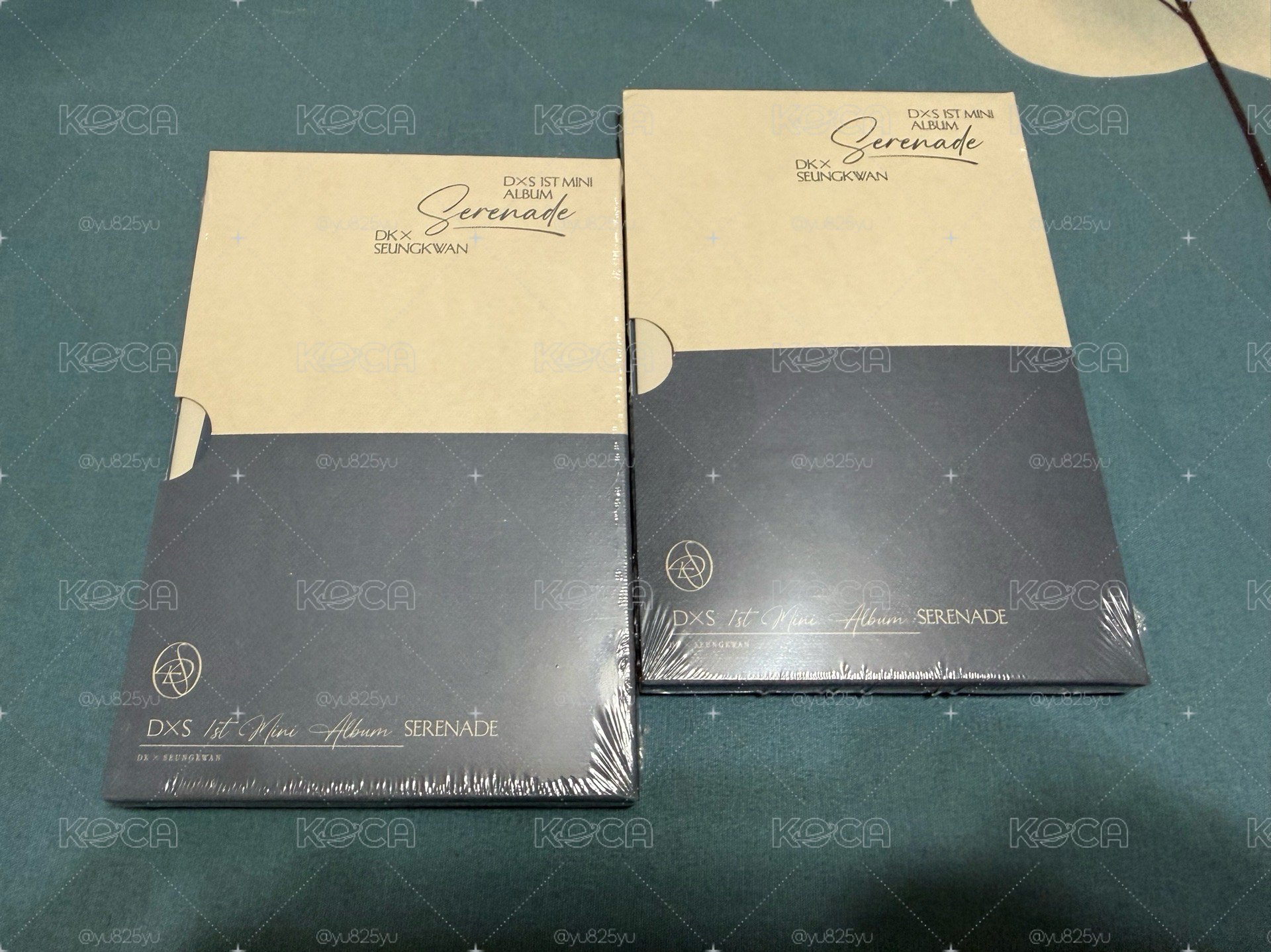 DxS compact 專（全新未拆）