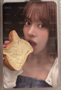  貓咪麵包莉
