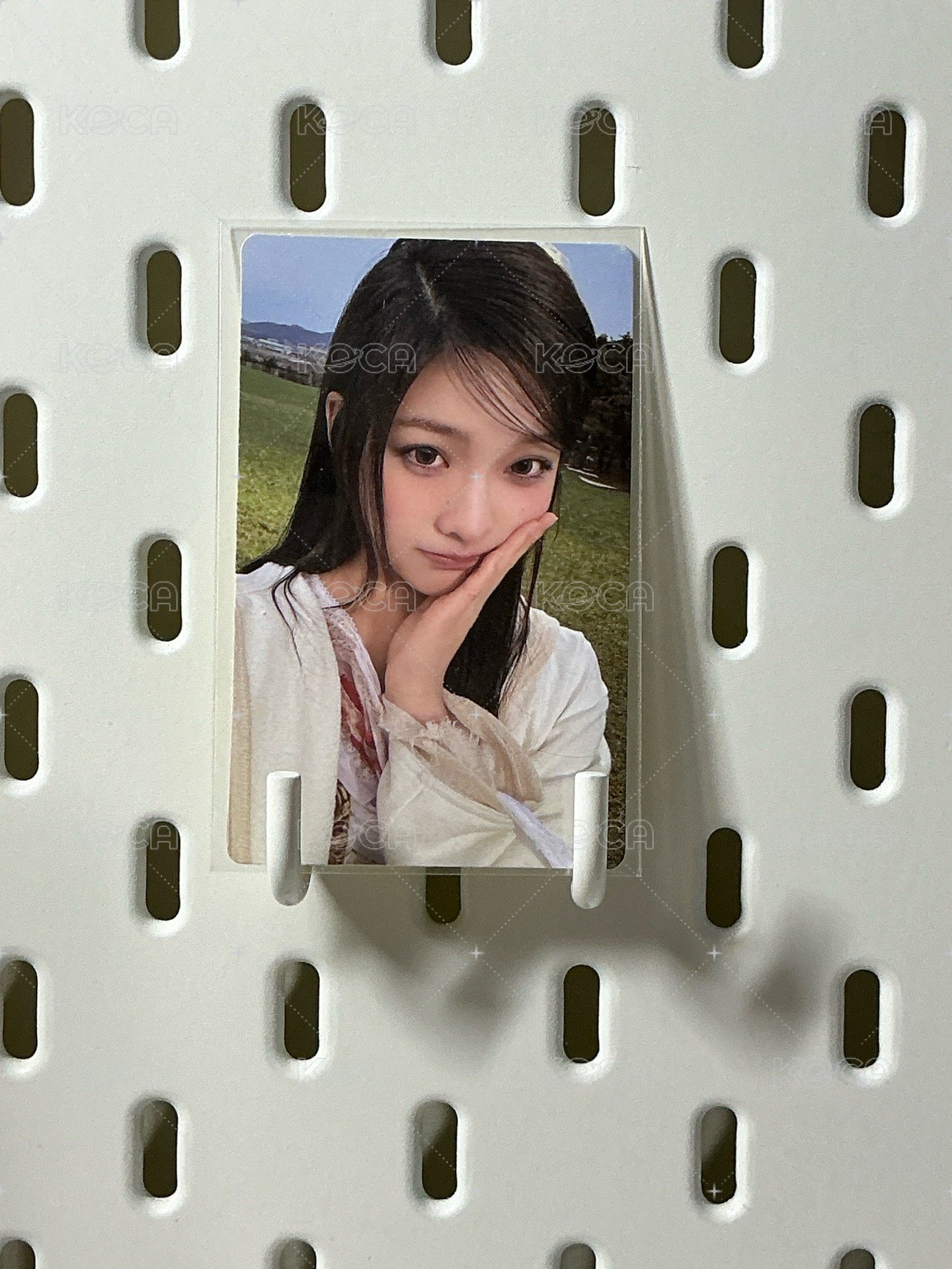 捧臉羽