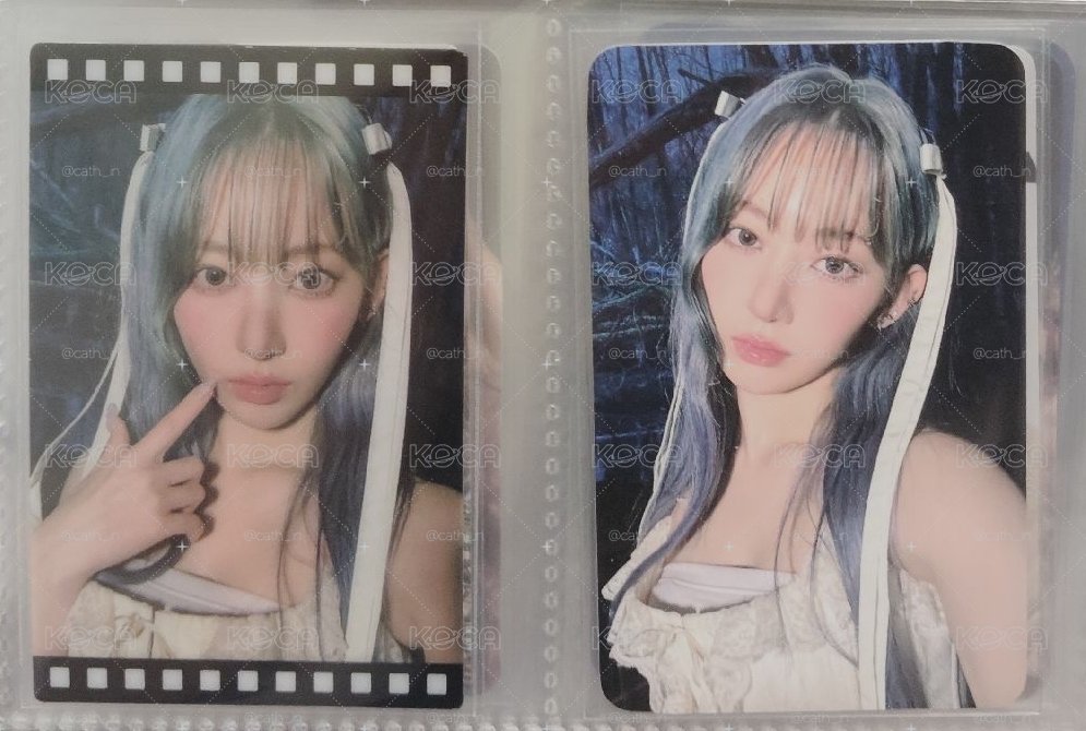 藍髮仙女櫻兩張