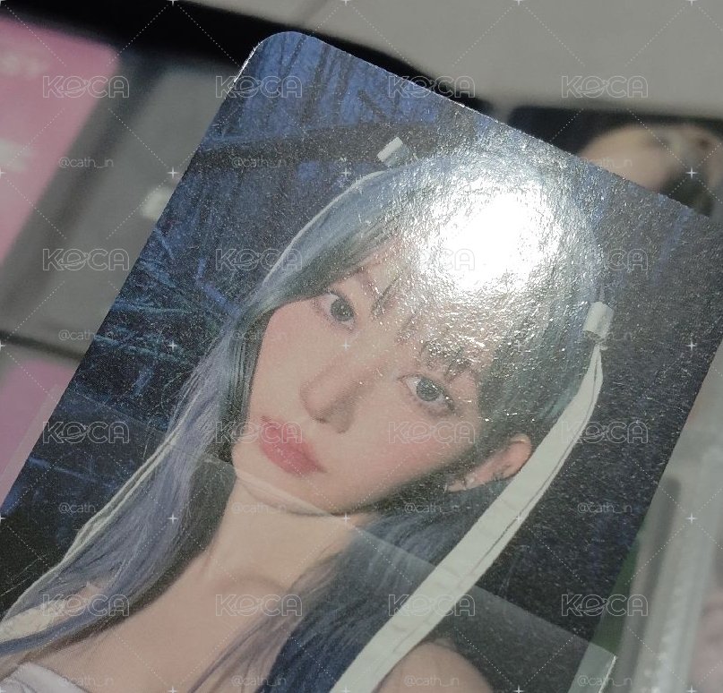 藍髮仙女櫻兩張