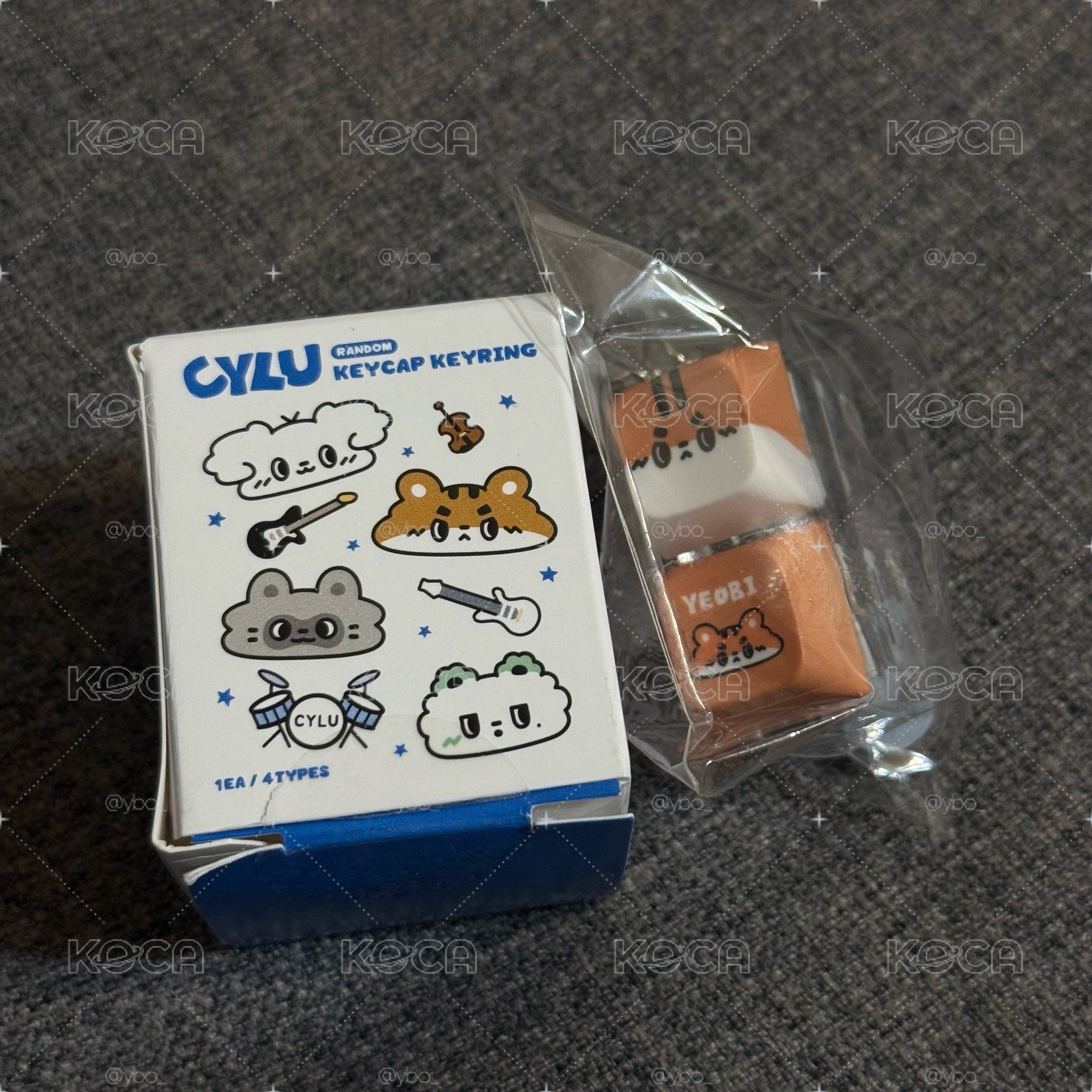 LUCY 紙片們