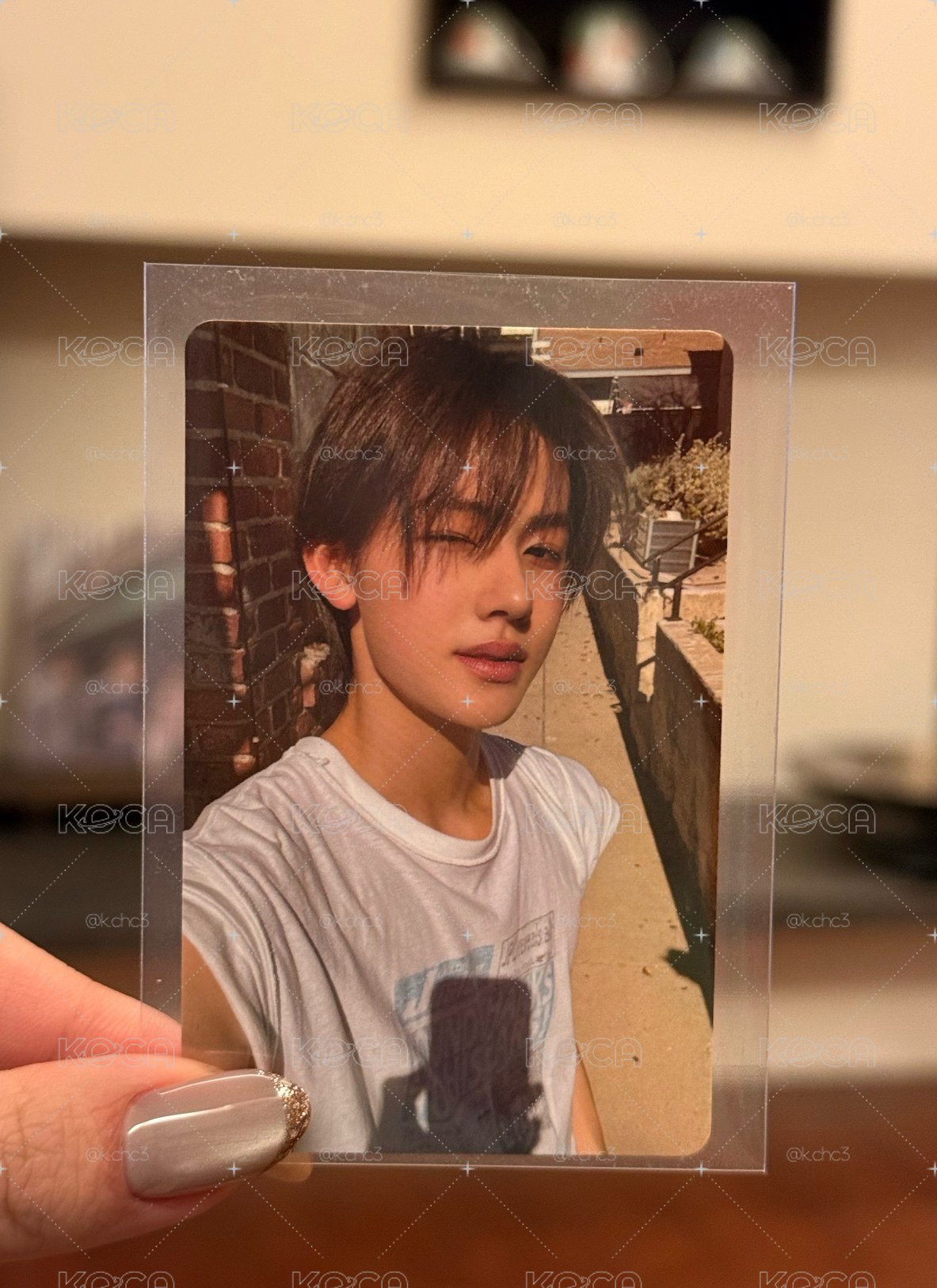 環球預售🦊