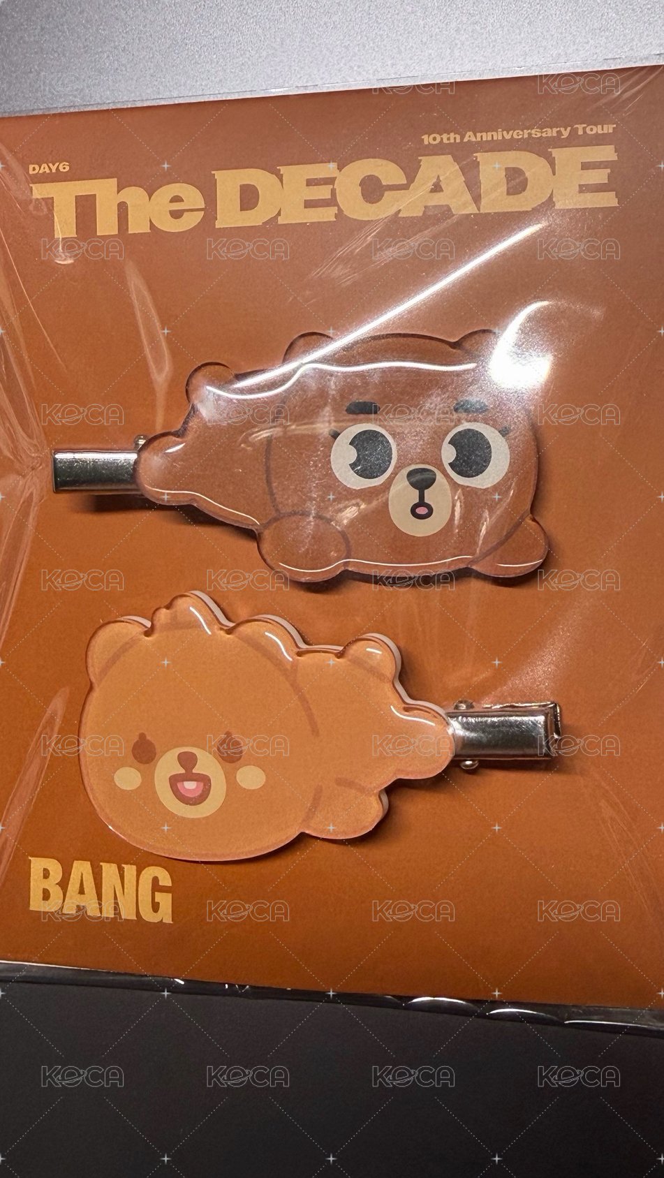 🐻