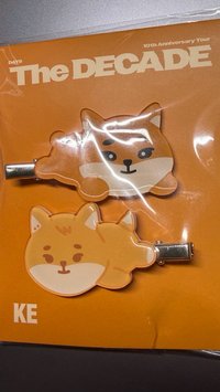 🦊