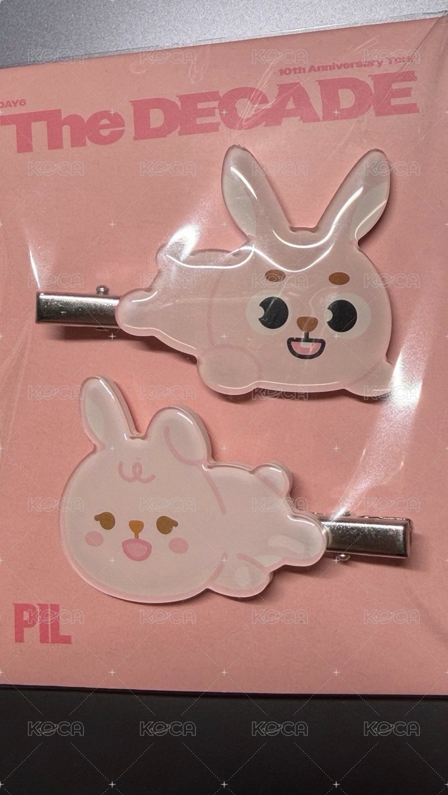 🐰