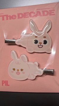 🐰
