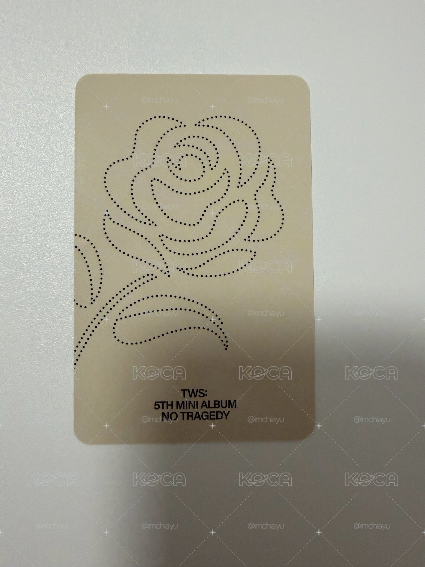TWS 迷五 英宰專卡