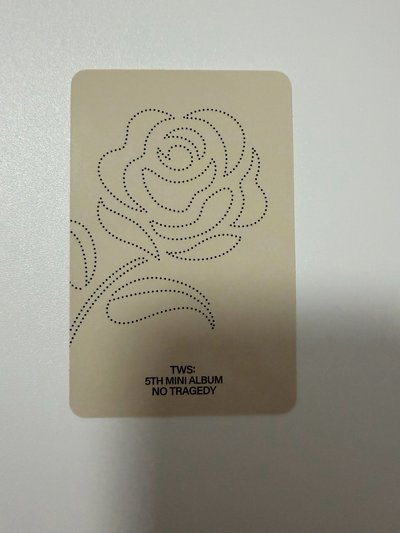 TWS 迷五 英宰專卡