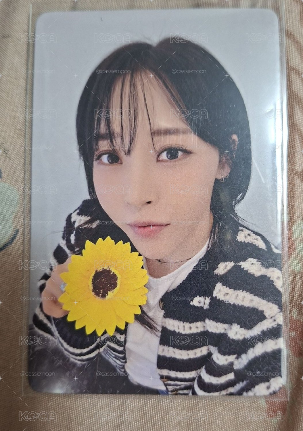 Moon Byul CONCERT TOUR [MUSEUM : village of eternal glow] 