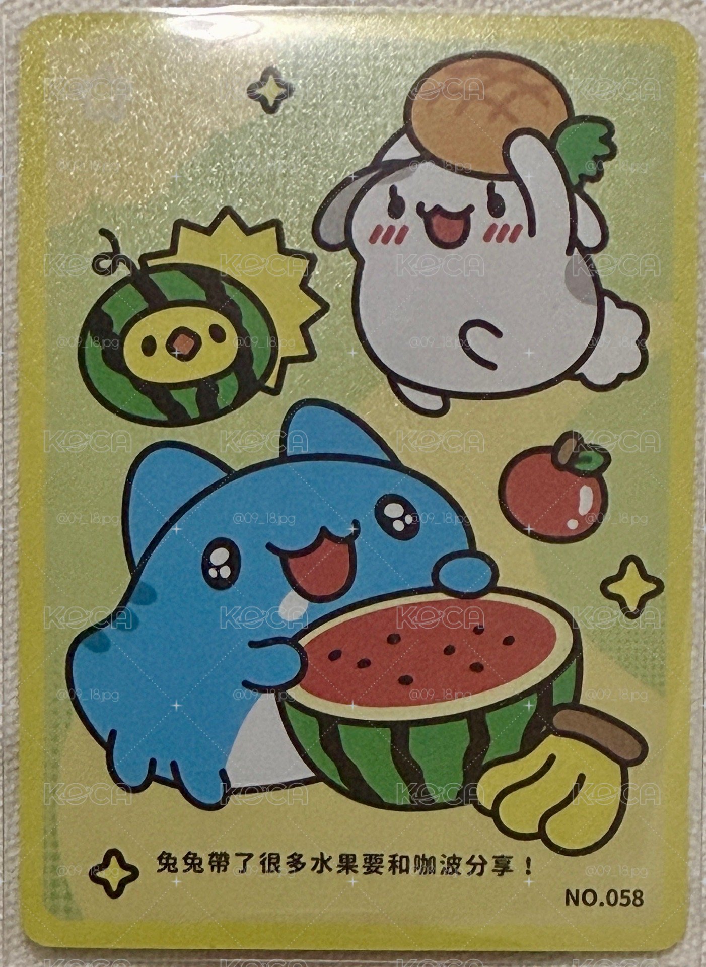 🩵🐱咖波 Capoo 系列小卡