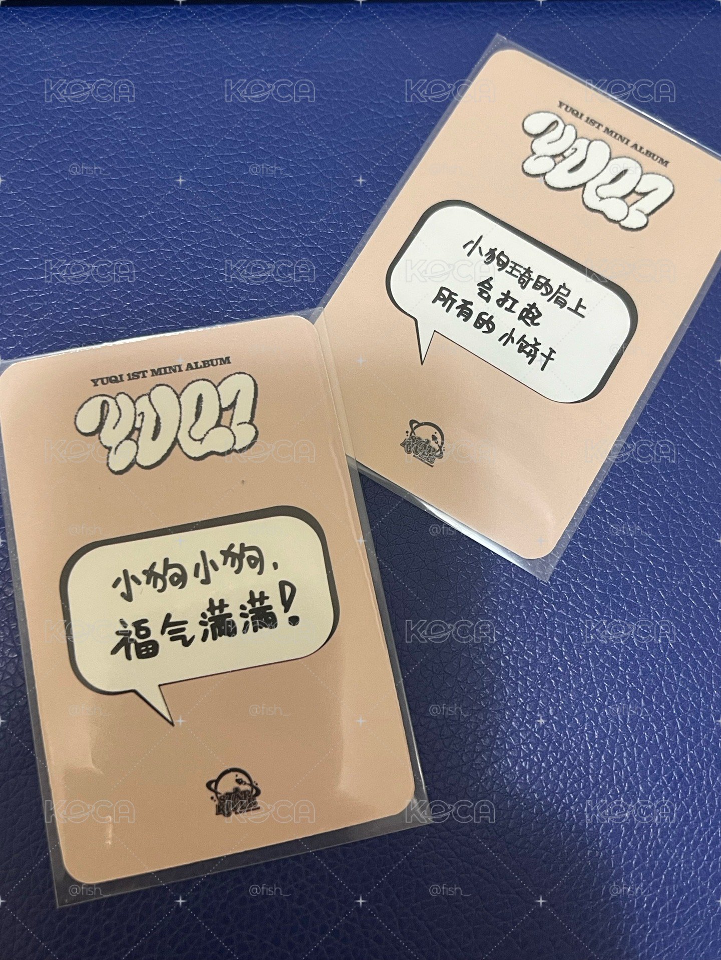 琦星河中背