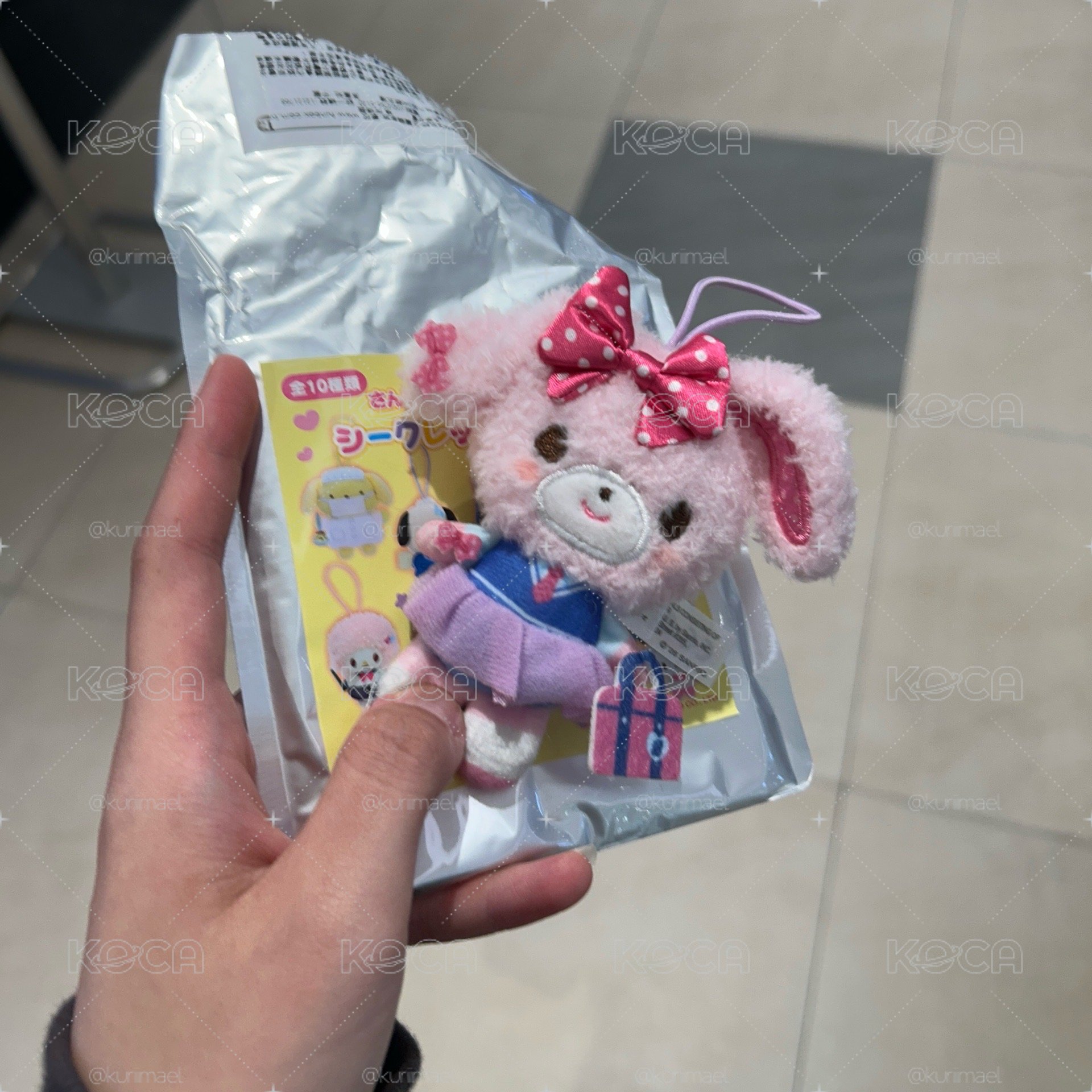 蹦蹦兔校園娃