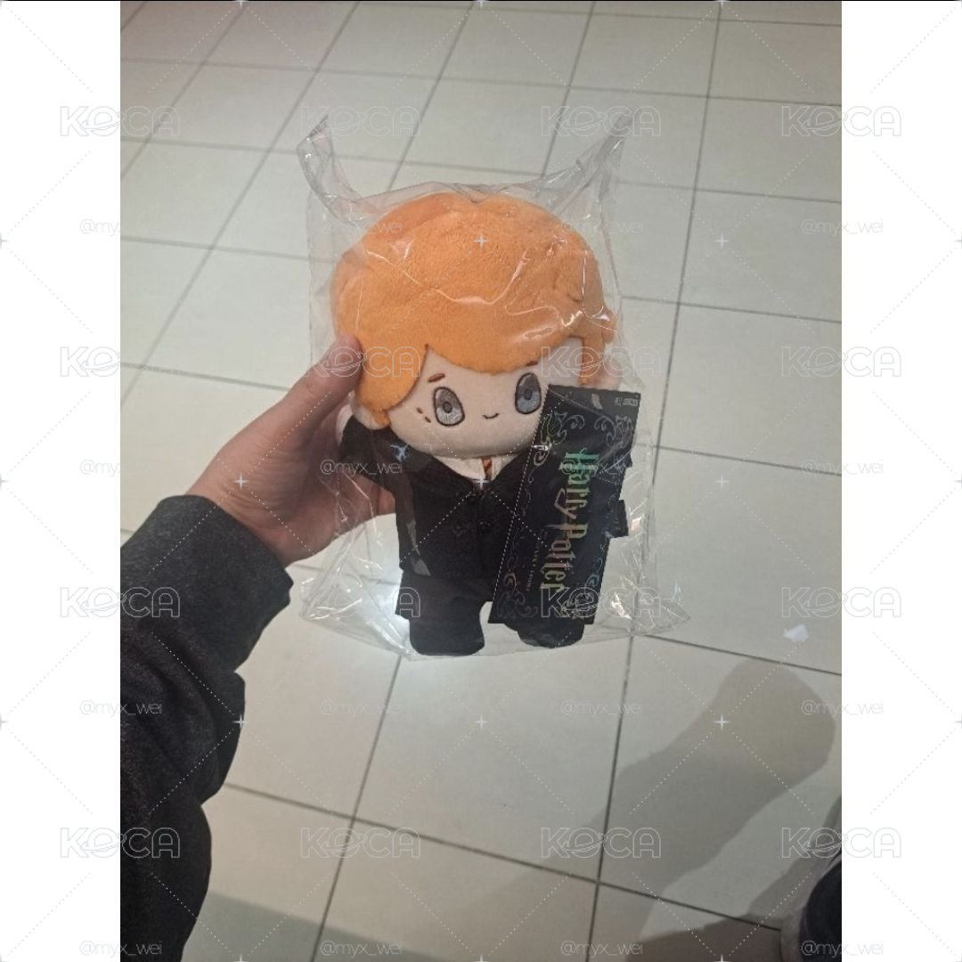 哈利波特 魔法之旅一番賞 三等福榮恩