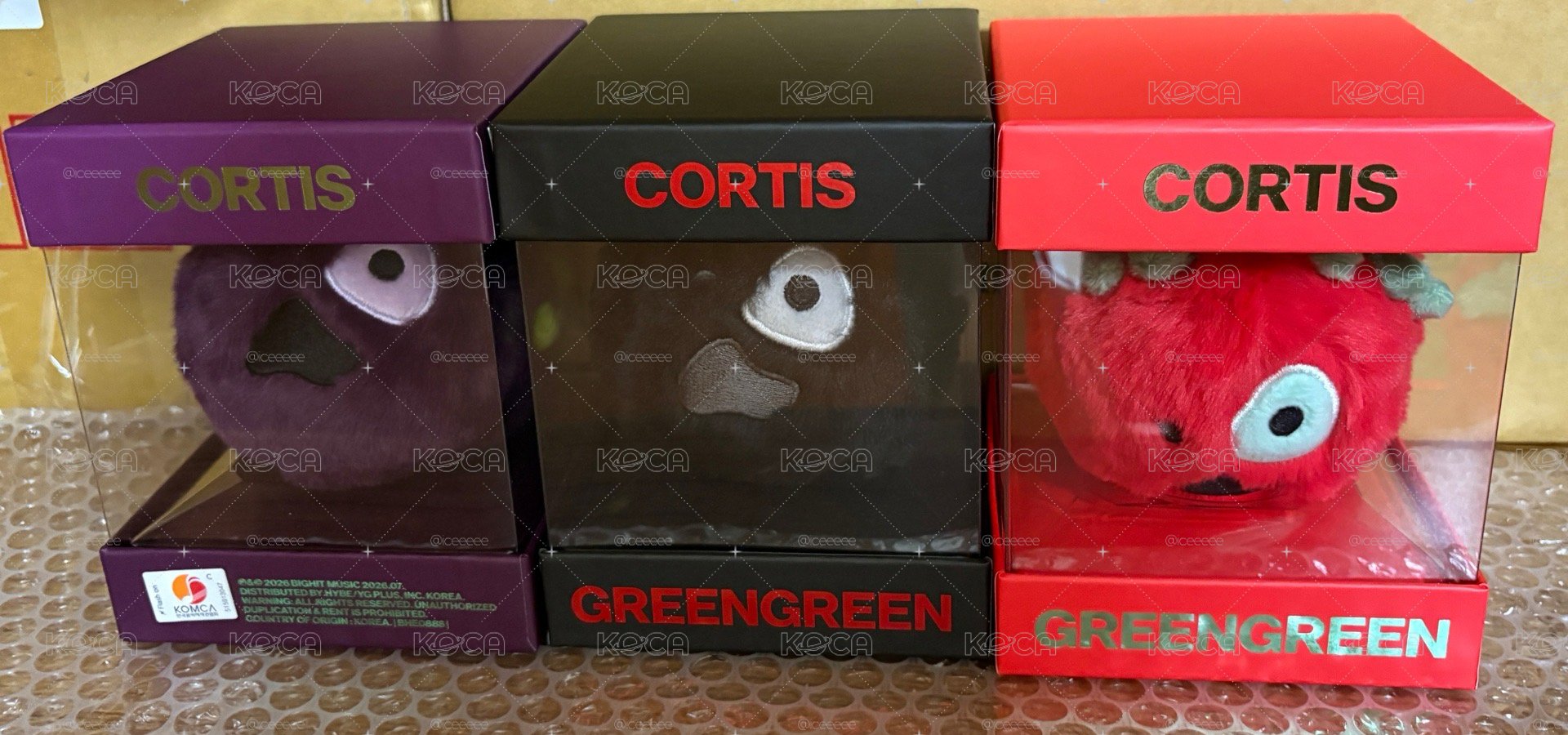 CORTIS 三色球專本體+骰子全專