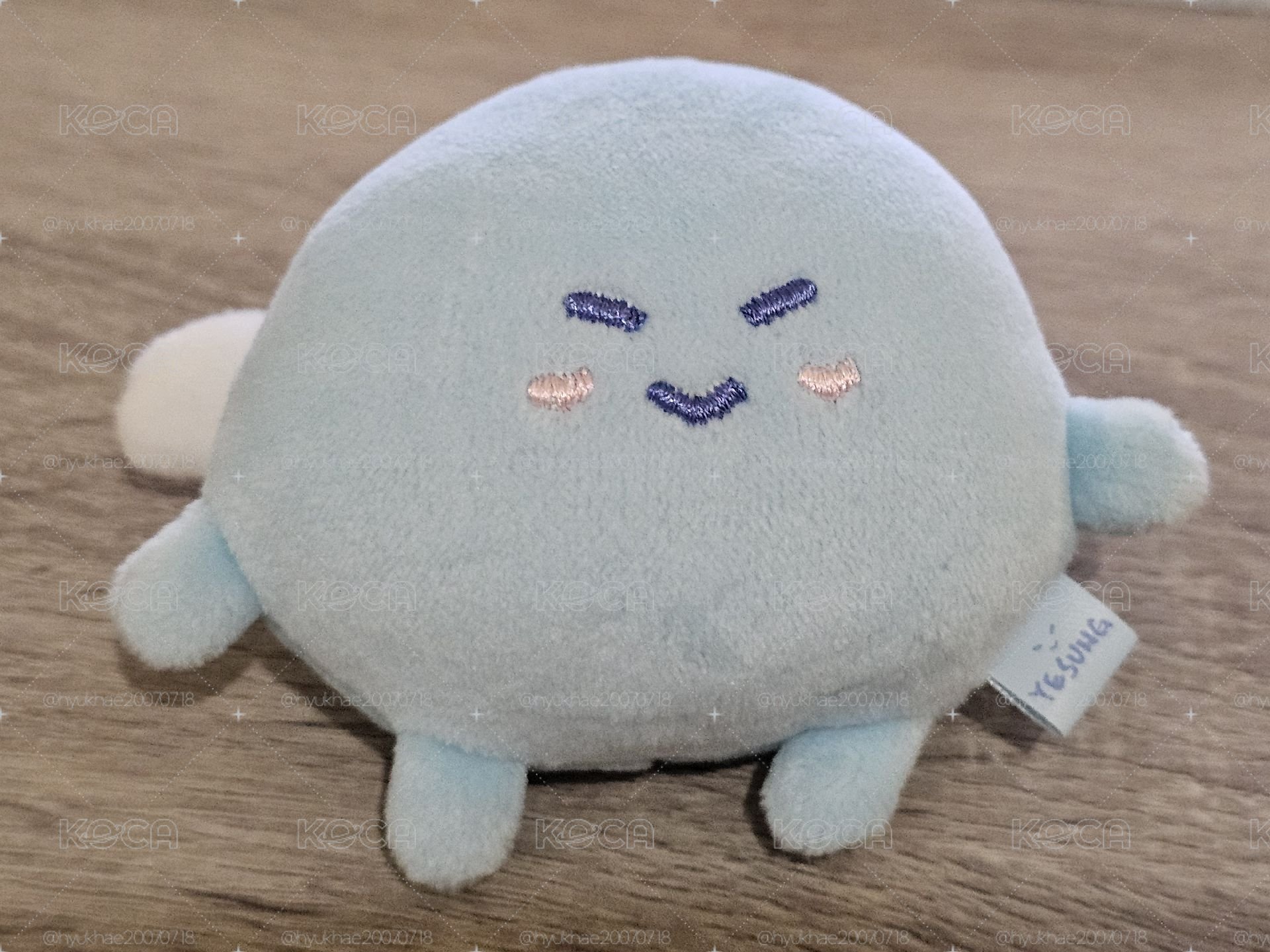 藝聲19糰