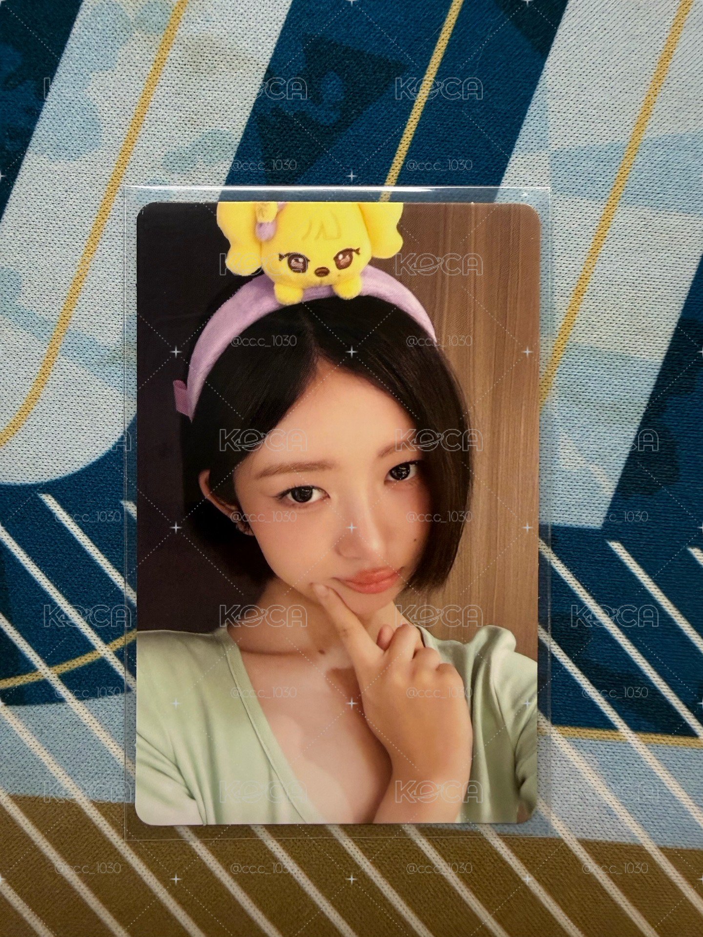 愛寶滿額怜