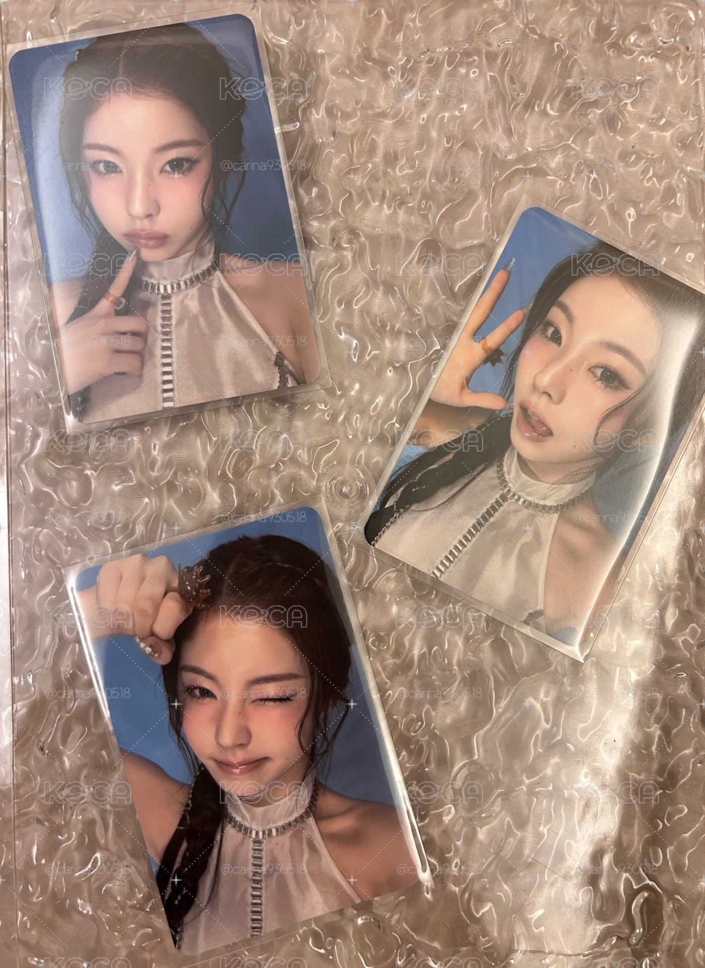 貴族貓貓小盤
