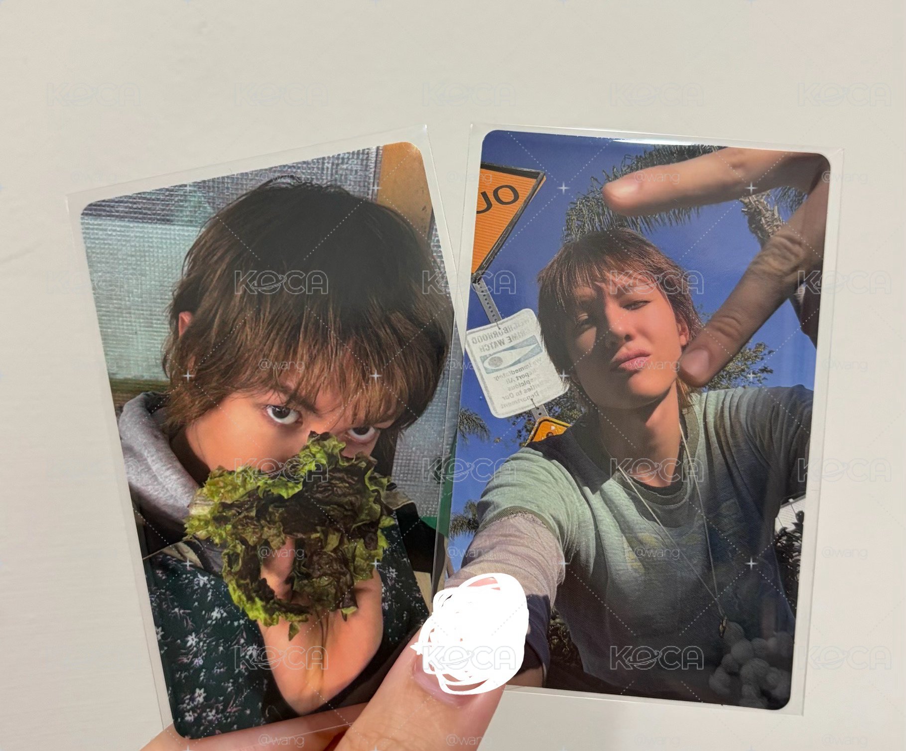 ma簽售+wvs幸運馬