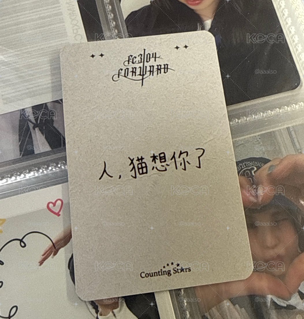 黑玫瑰圭 中背