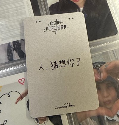 黑玫瑰圭 中背