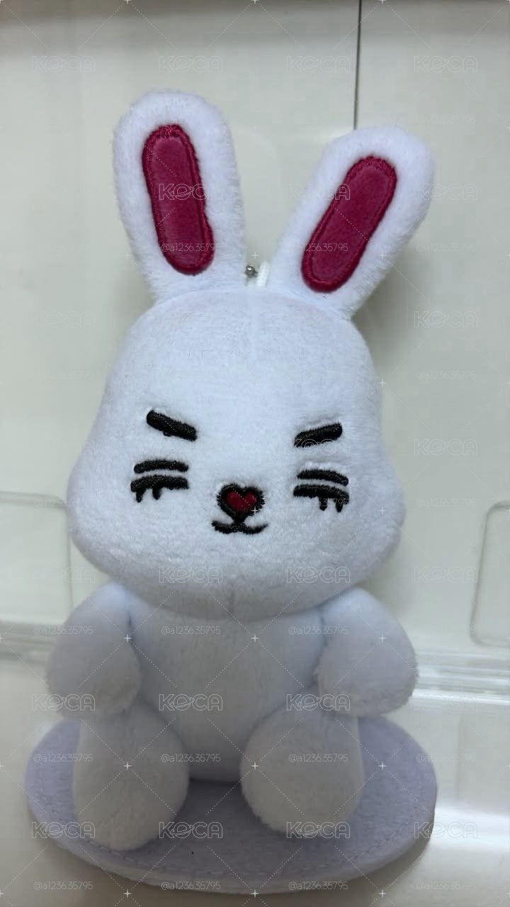 (非本人請勿下單)非全新越南製喆坐娃