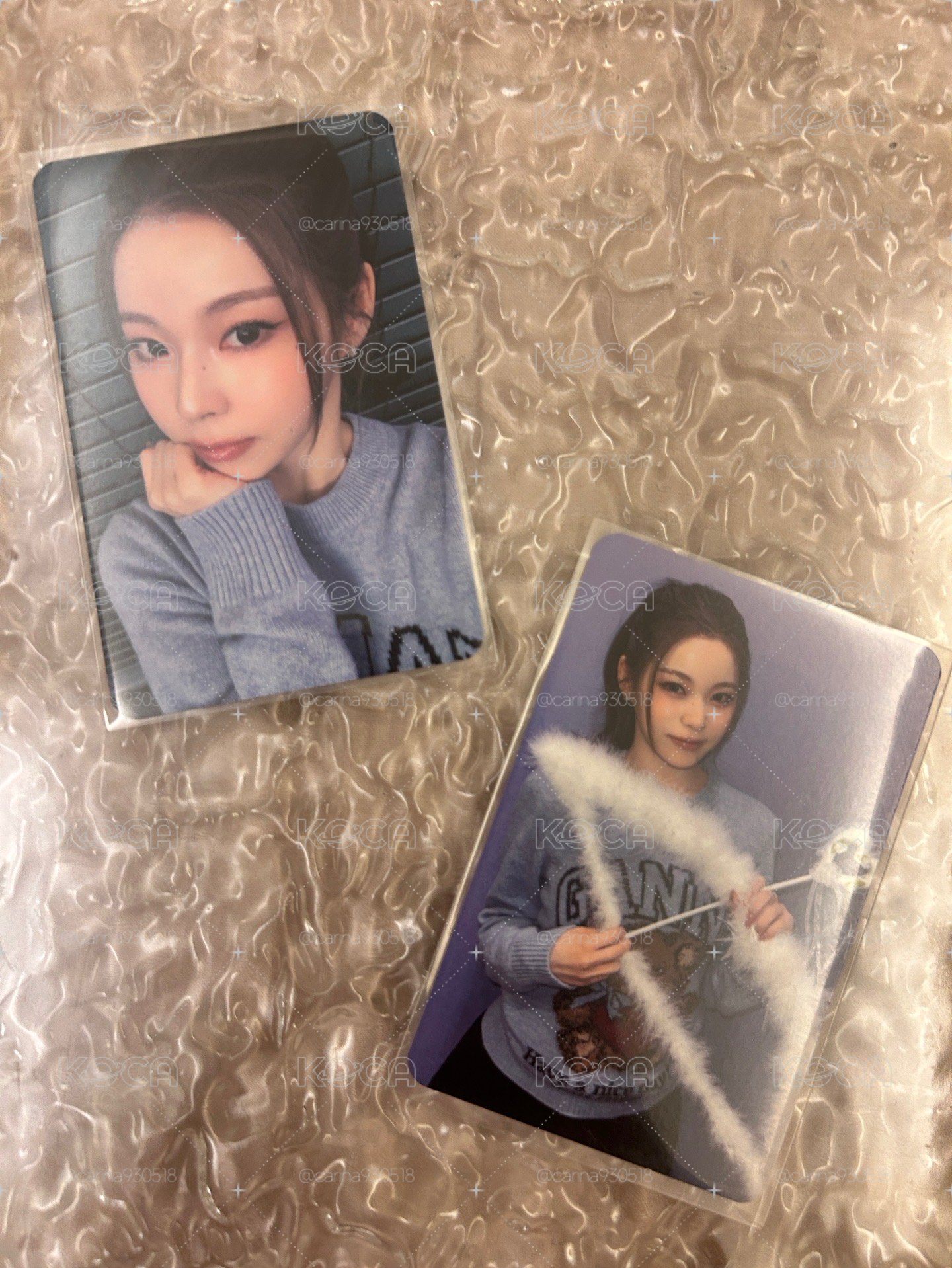 正反兩面都是愛你的小貓