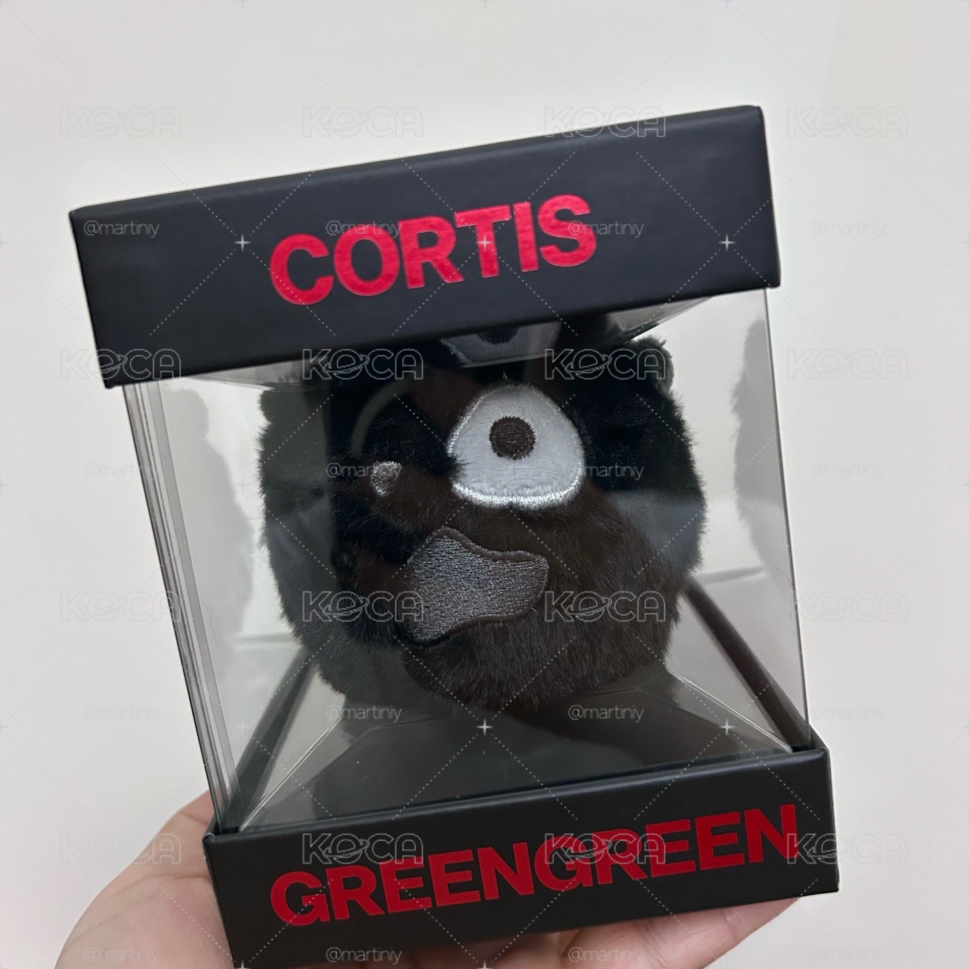 Cortis 黑球 空專 