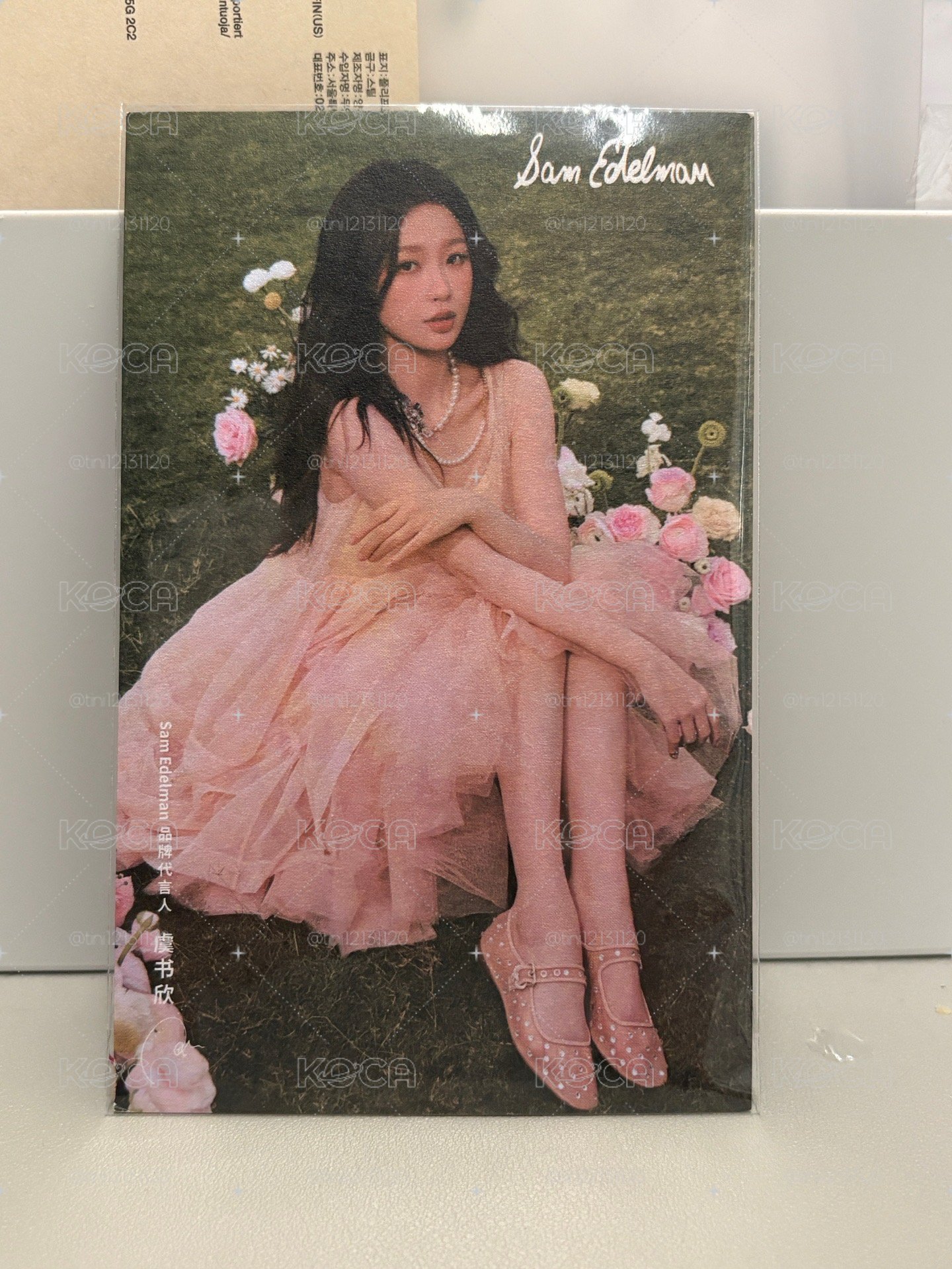 Sam Edelman 明信片 