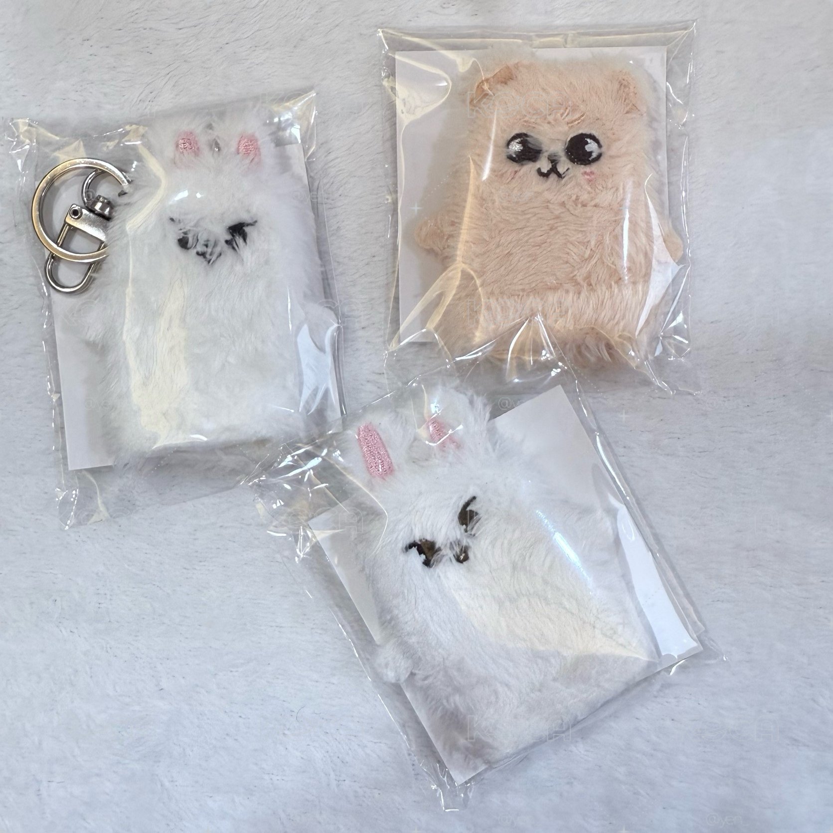 SKZ 玟🐶、旻🐰 日本場週 手指套娃