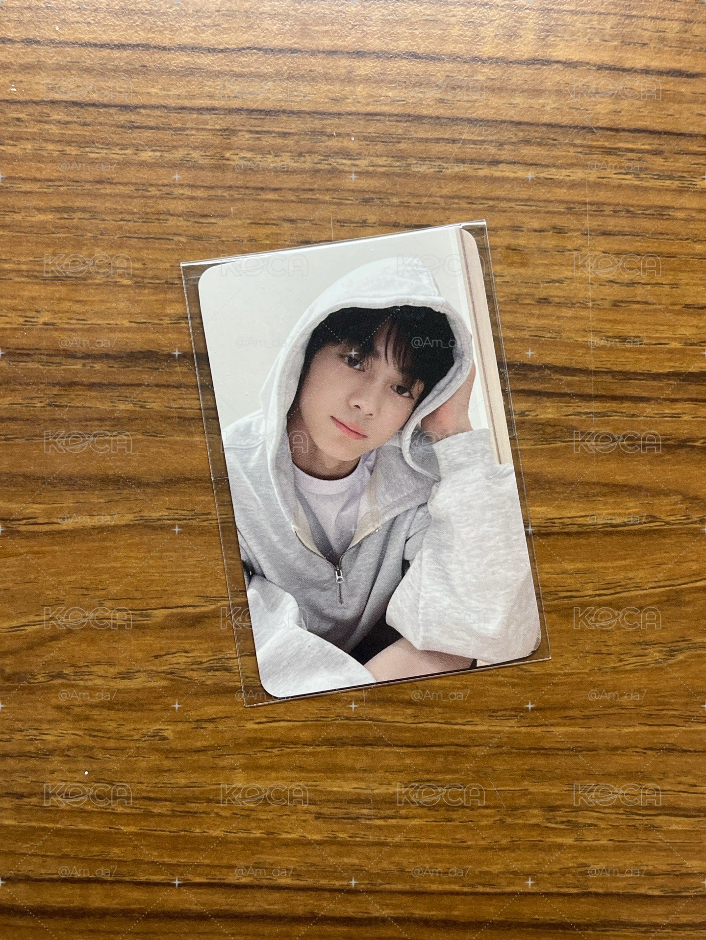 TWS 迷1 yes24帽t韓振🐰