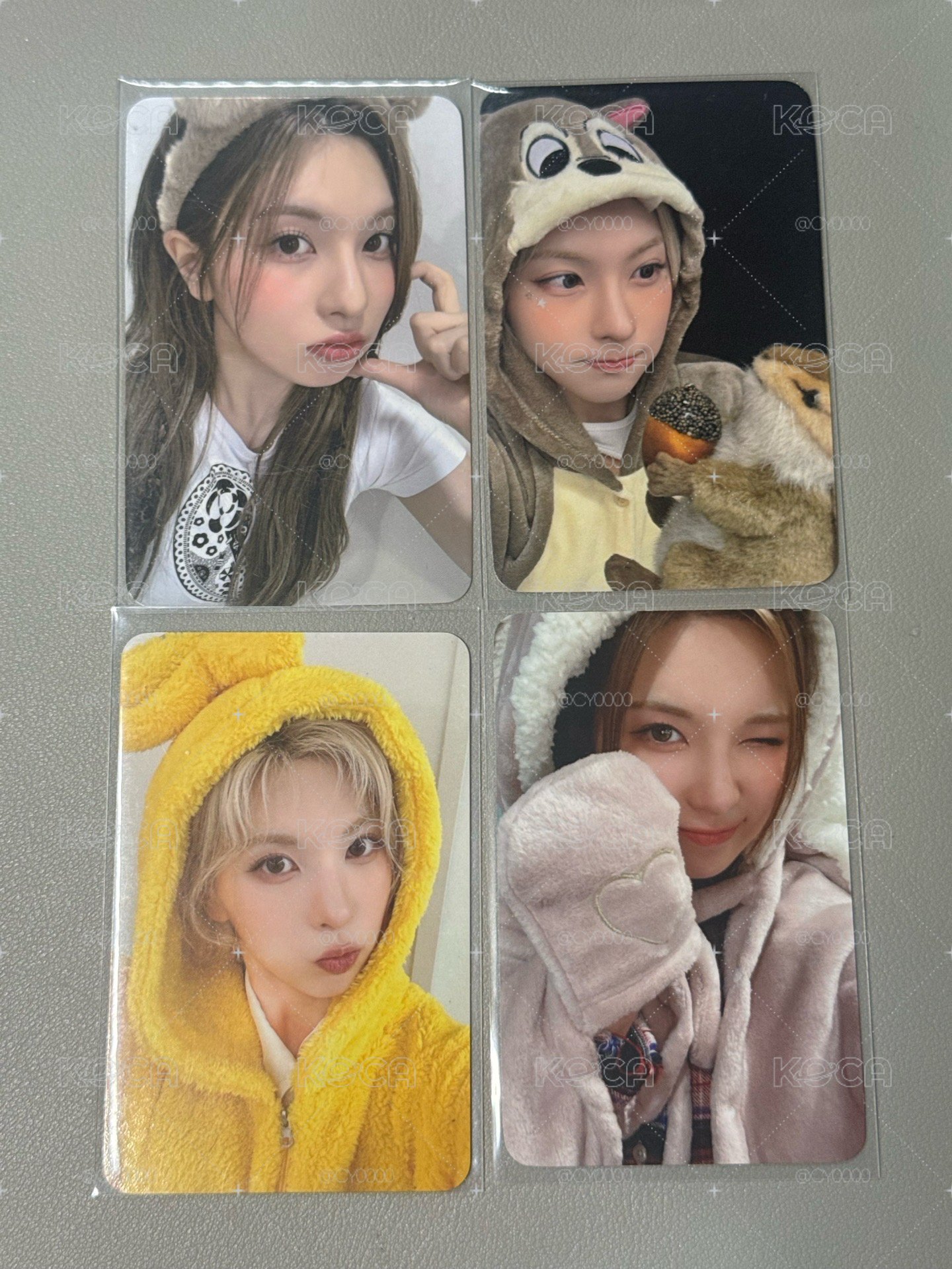 可愛動物系貝貝🐿️