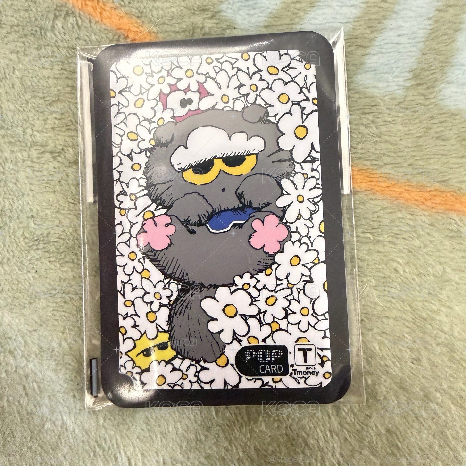ZO&FRIENDS GS25 交通卡 T-money