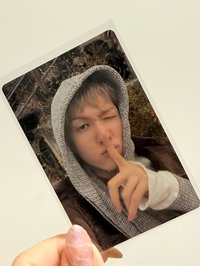 迷二黑膠馬