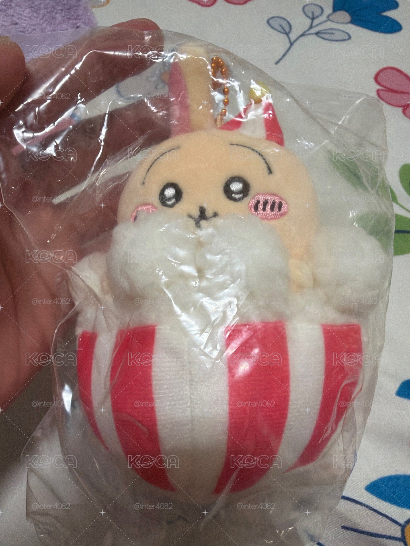 樂園 爆米花兔
