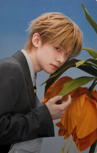 セツナハナビ hmv 特典卡 