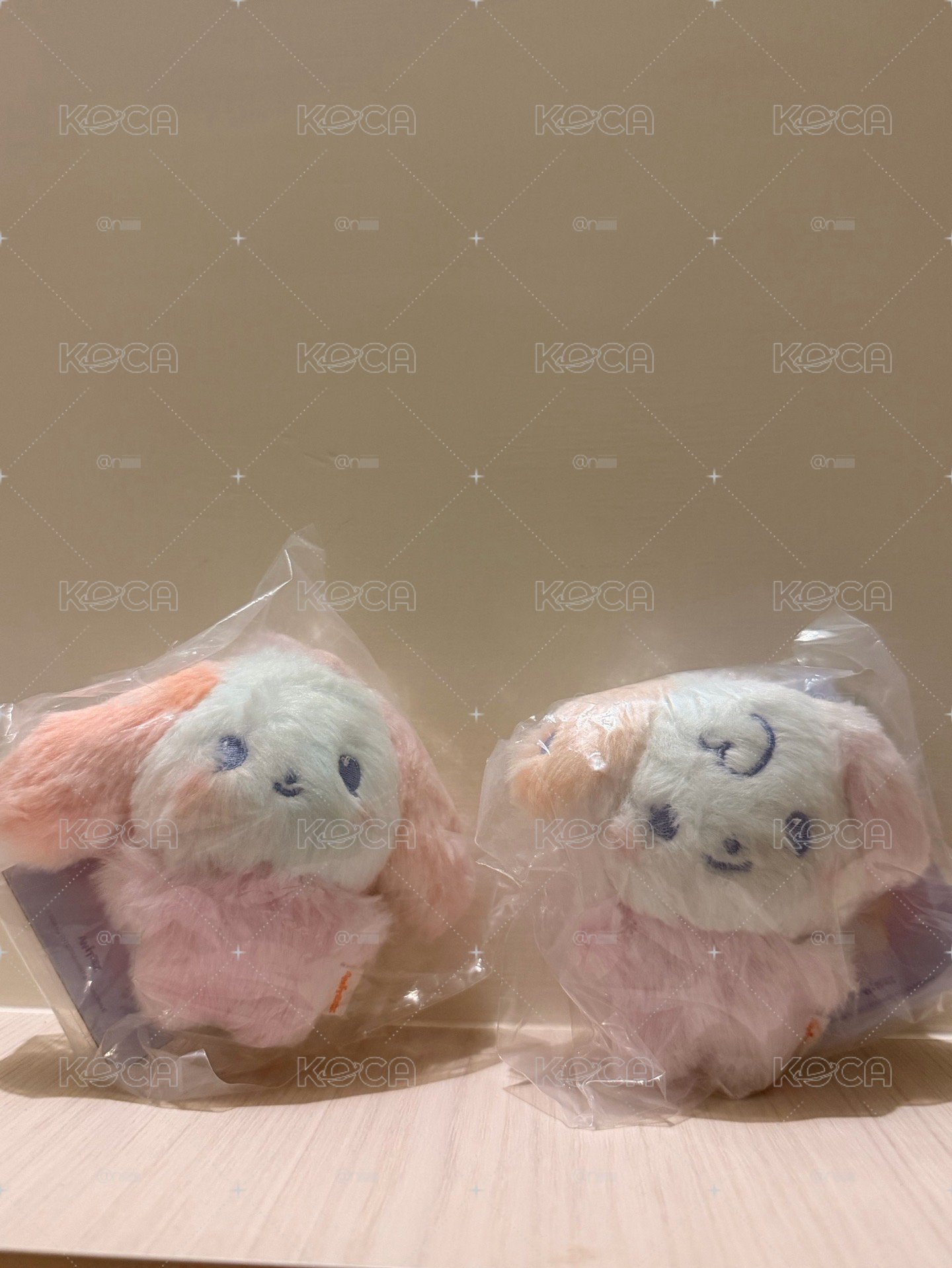 混色狗狗們🐶