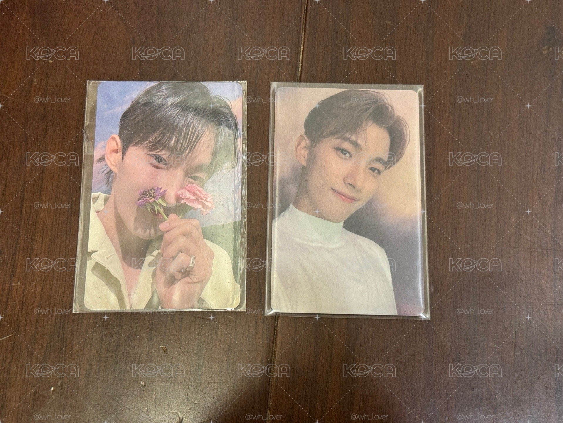 SEVENTEEN 碩珉特典/周邊卡