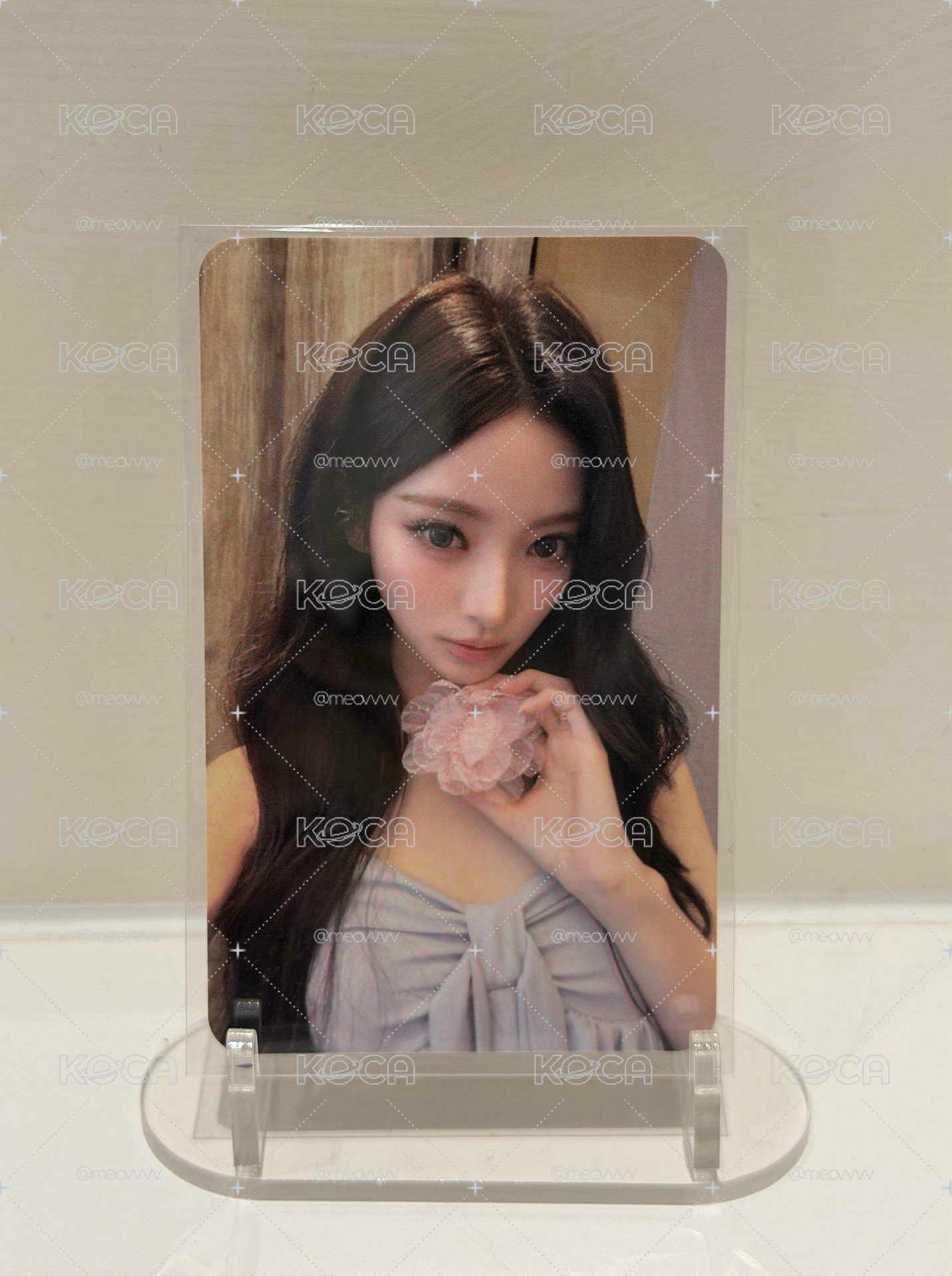 香港入場卡（Anna/Narin)