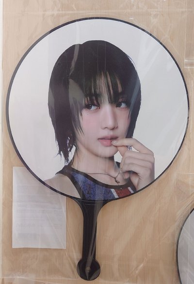 妮大扇