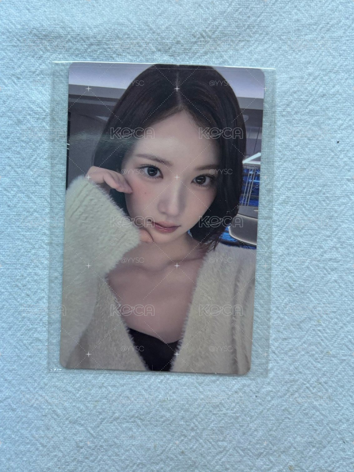 Jiwoo Focus wvs 簽售卡 