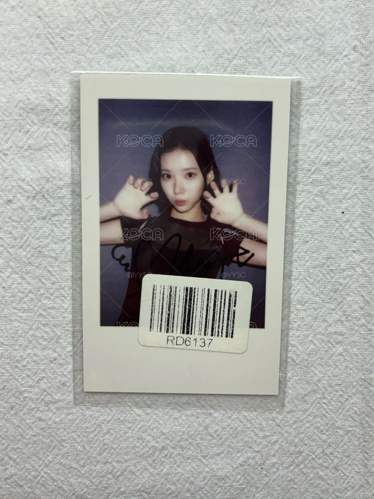 Jiwoo 萌萌貓爪 Focus kms RB版 特典卡 拍立得