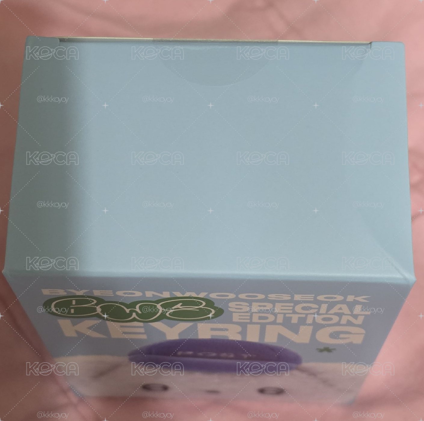 全新現貨 邊佑錫 郵差狗狗
